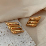 Stainless steel Earrings